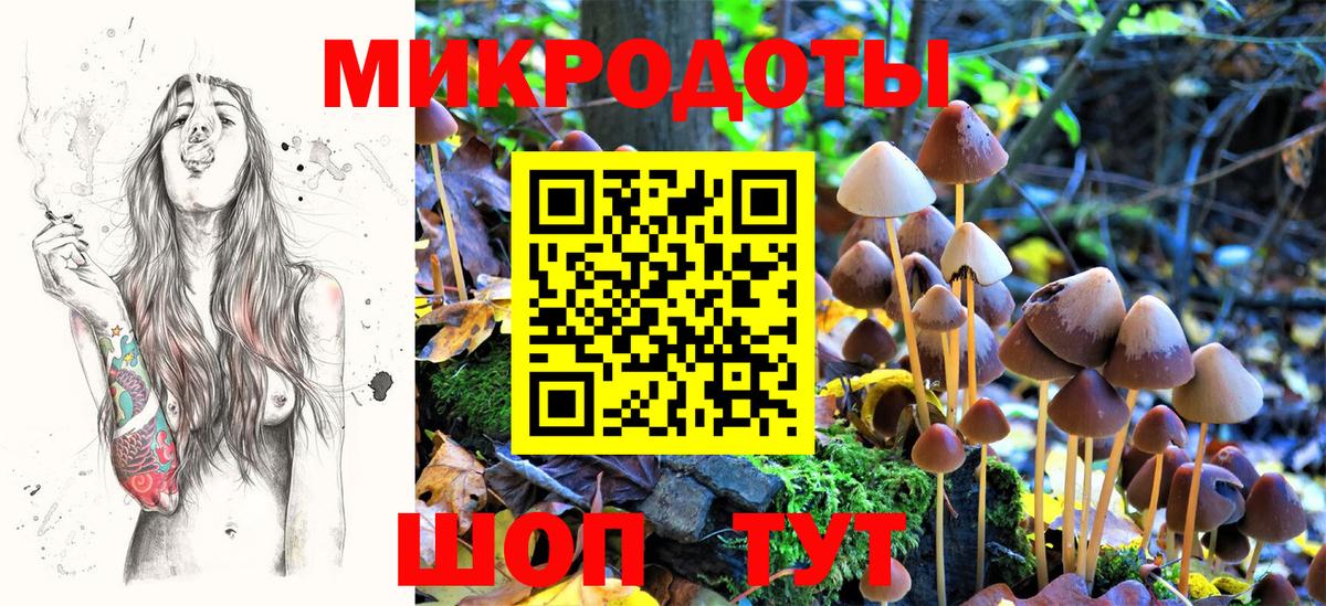Галлюциногенные грибы Psilocybe Сибай